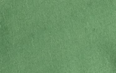 Verdel Limón Solido	